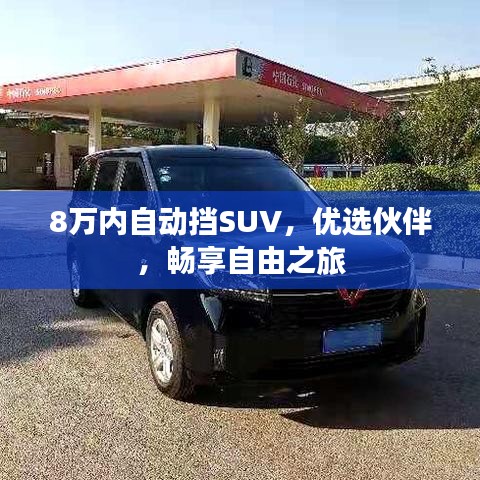 8万内自动挡SUV，优选伙伴，畅享自由之旅
