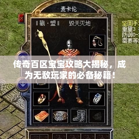 传奇百区宝宝攻略大揭秘，成为无敌玩家的必备秘籍！
