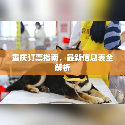 重庆订票指南，最新信息表全解析