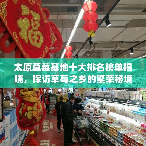 太原草莓基地十大排名榜单揭晓，探访草莓之乡的繁荣秘境