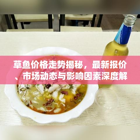 草鱼价格走势揭秘，最新报价、市场动态与影响因素深度解析