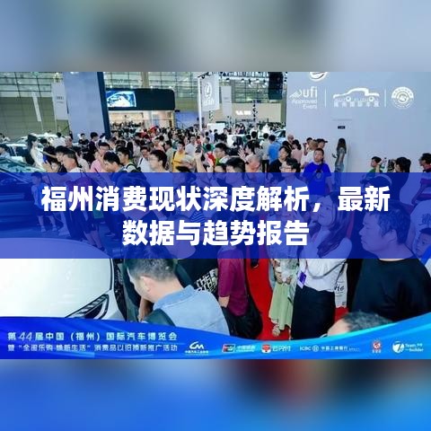福州消费现状深度解析，最新数据与趋势报告