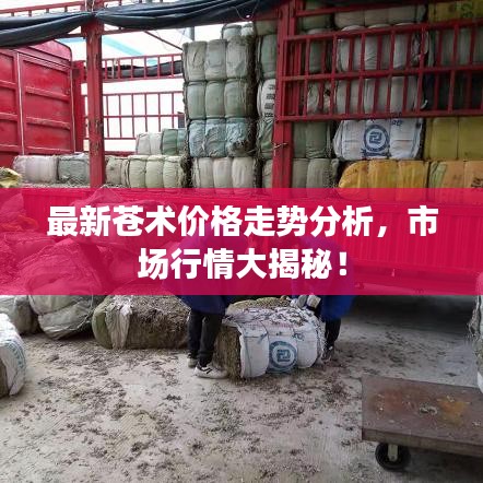 最新苍术价格走势分析，市场行情大揭秘！