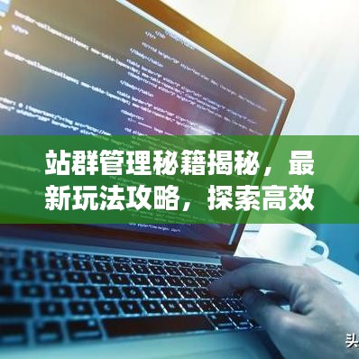 站群管理秘籍揭秘，最新玩法攻略，探索高效管理的秘密武器！