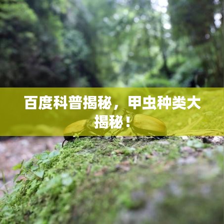 百度科普揭秘，甲虫种类大揭秘！