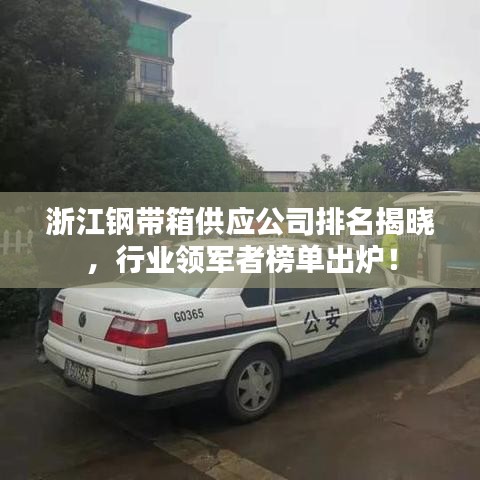 浙江钢带箱供应公司排名揭晓，行业领军者榜单出炉！