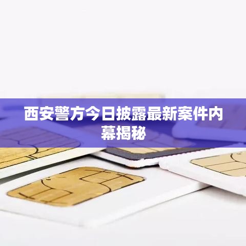 西安警方今日披露最新案件内幕揭秘
