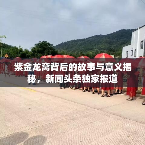 紫金龙窝背后的故事与意义揭秘，新闻头条独家报道