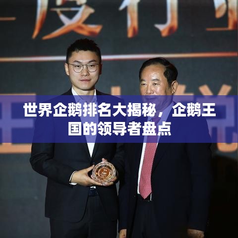 世界企鹅排名大揭秘，企鹅王国的领导者盘点
