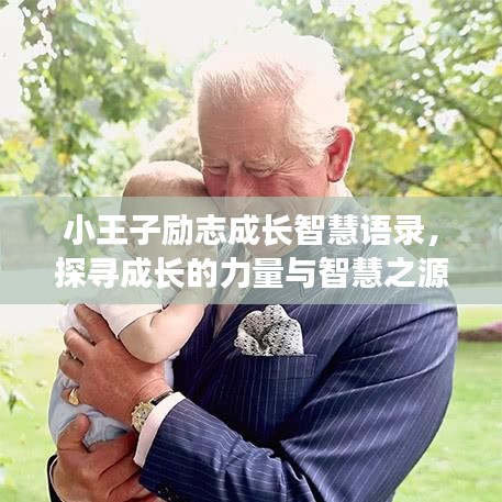 小王子励志成长智慧语录，探寻成长的力量与智慧之源