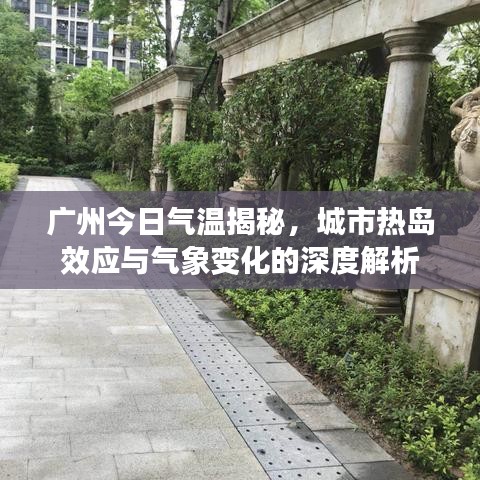 广州今日气温揭秘，城市热岛效应与气象变化的深度解析