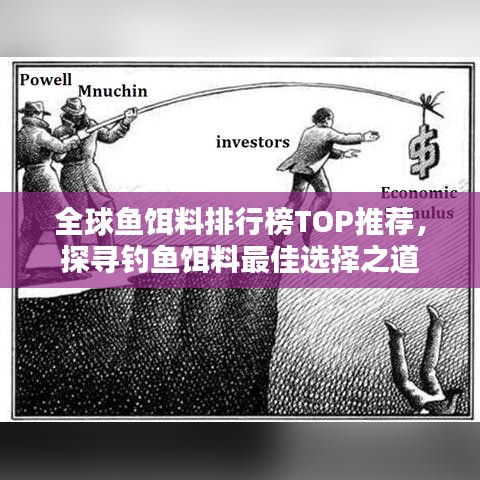 全球鱼饵料排行榜TOP推荐，探寻钓鱼饵料最佳选择之道