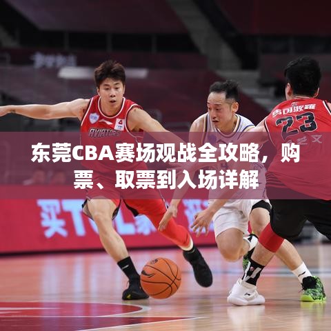 东莞CBA赛场观战全攻略，购票、取票到入场详解