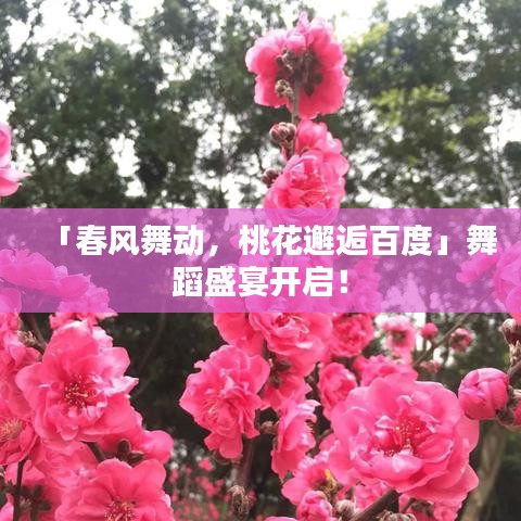 「春风舞动，桃花邂逅百度」舞蹈盛宴开启！