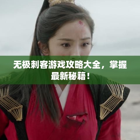 无极刺客游戏攻略大全，掌握最新秘籍！