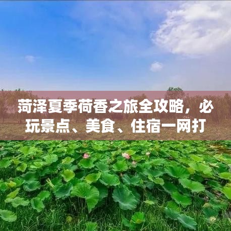 菏泽夏季荷香之旅全攻略，必玩景点、美食、住宿一网打尽！