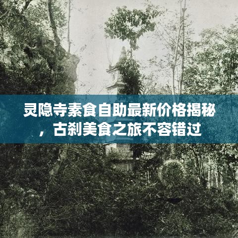 灵隐寺素食自助最新价格揭秘，古刹美食之旅不容错过