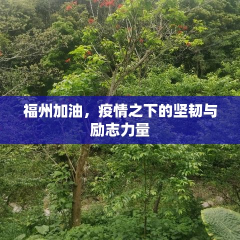 福州加油，疫情之下的坚韧与励志力量