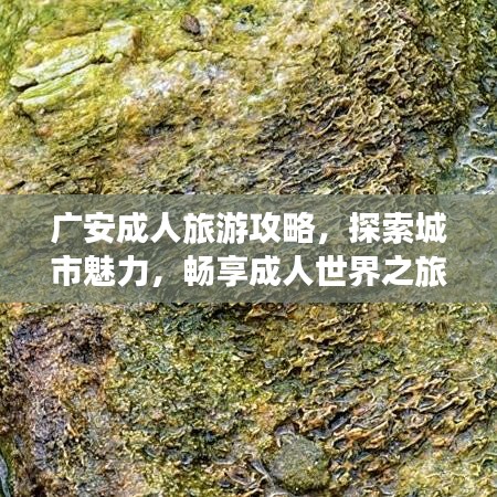 广安成人旅游攻略，探索城市魅力，畅享成人世界之旅