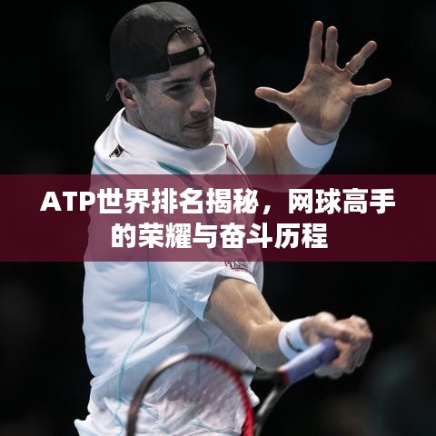 ATP世界排名揭秘，网球高手的荣耀与奋斗历程