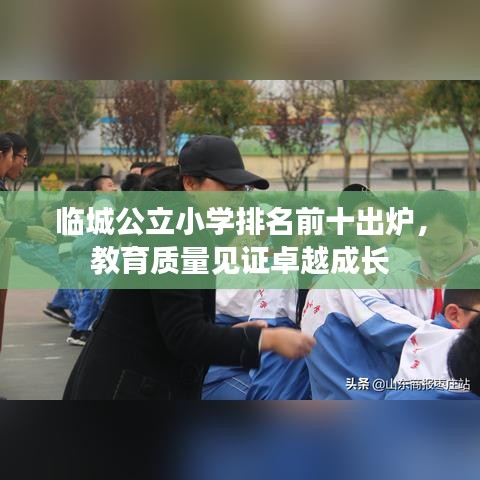 临城公立小学排名前十出炉，教育质量见证卓越成长