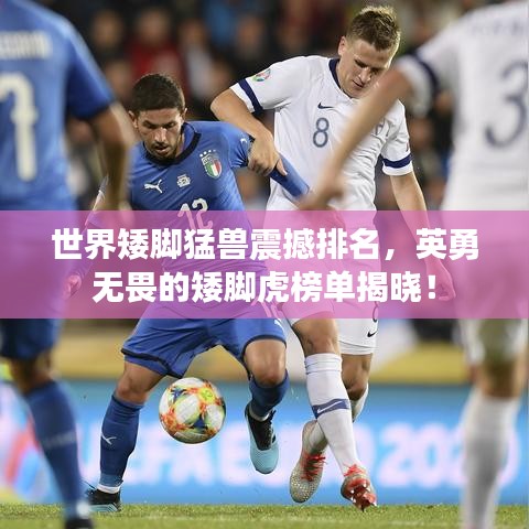 世界矮脚猛兽震撼排名，英勇无畏的矮脚虎榜单揭晓！