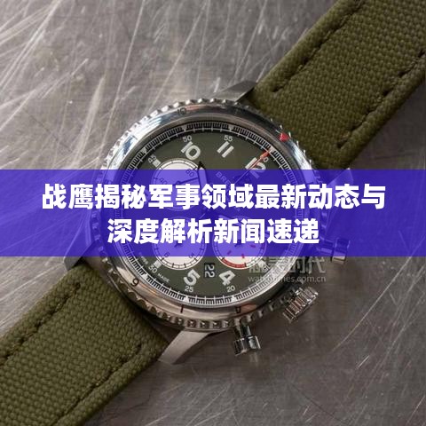 战鹰揭秘军事领域最新动态与深度解析新闻速递