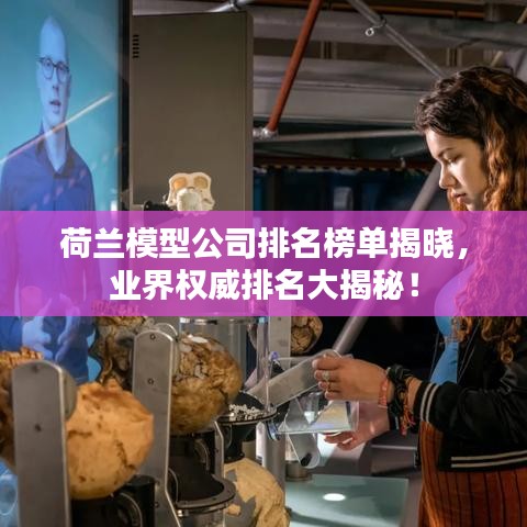 荷兰模型公司排名榜单揭晓，业界权威排名大揭秘！