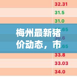 梅州最新猪价动态，市场走势分析与未来预测