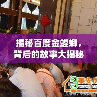 揭秘百度金螳螂，背后的故事大揭秘！