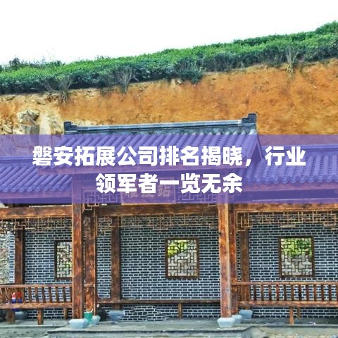 磐安拓展公司排名揭晓，行业领军者一览无余