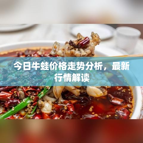 今日牛蛙价格走势分析，最新行情解读