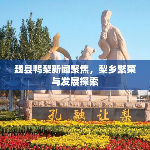 魏县鸭梨新闻聚焦，梨乡繁荣与发展探索