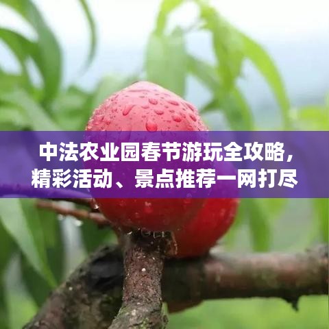 中法农业园春节游玩全攻略，精彩活动、景点推荐一网打尽！