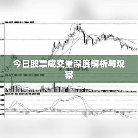 今日股票成交量深度解析与观察