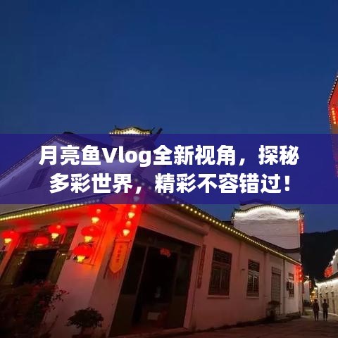 月亮鱼Vlog全新视角，探秘多彩世界，精彩不容错过！
