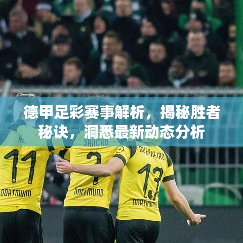 德甲足彩赛事解析，揭秘胜者秘诀，洞悉最新动态分析