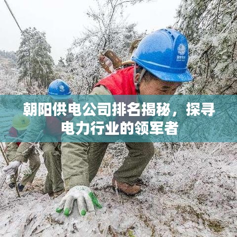 朝阳供电公司排名揭秘，探寻电力行业的领军者