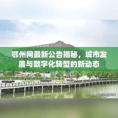 鄂州网最新公告揭秘，城市发展与数字化转型的新动态