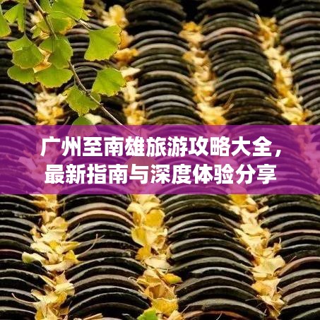 广州至南雄旅游攻略大全，最新指南与深度体验分享