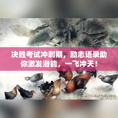 决胜考试冲刺期，励志语录助你激发潜能，一飞冲天！