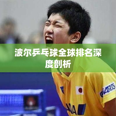 波尔乒乓球全球排名深度剖析