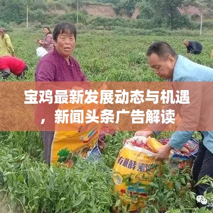 宝鸡最新发展动态与机遇，新闻头条广告解读
