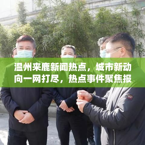 温州来鹿新闻热点，城市新动向一网打尽，热点事件聚焦报道