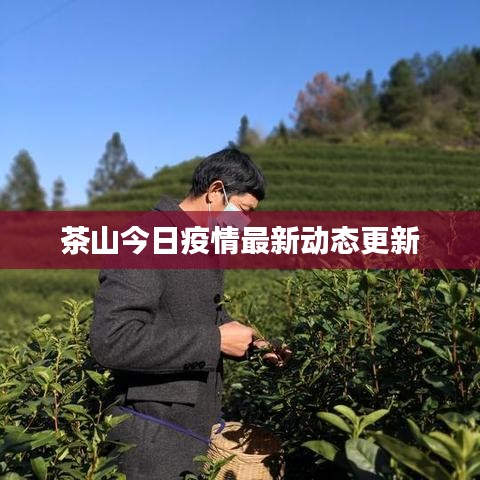 茶山今日疫情最新动态更新