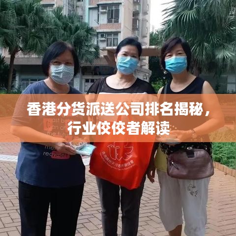 香港分货派送公司排名揭秘，行业佼佼者解读