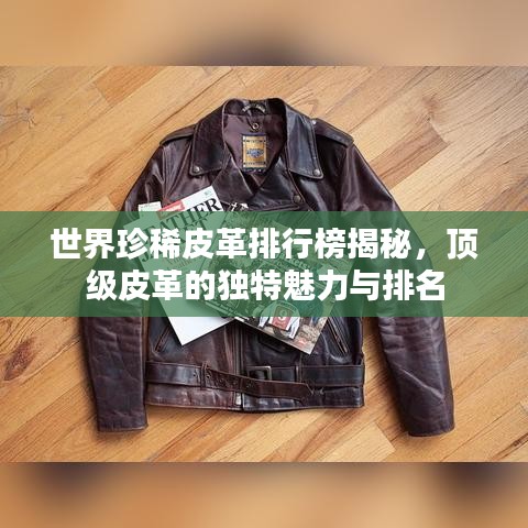 世界珍稀皮革排行榜揭秘，顶级皮革的独特魅力与排名