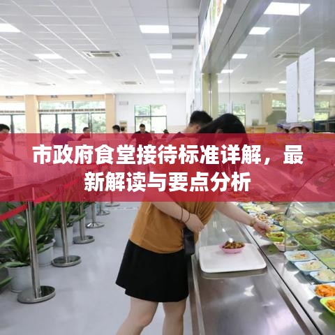市政府食堂接待标准详解，最新解读与要点分析