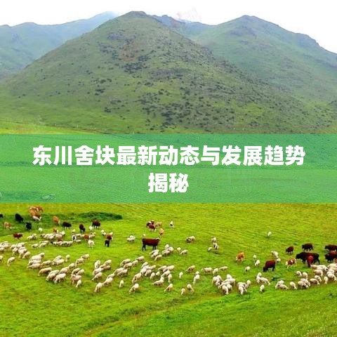 东川舍块最新动态与发展趋势揭秘