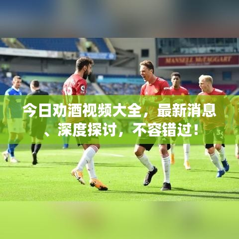 今日劝酒视频大全，最新消息、深度探讨，不容错过！